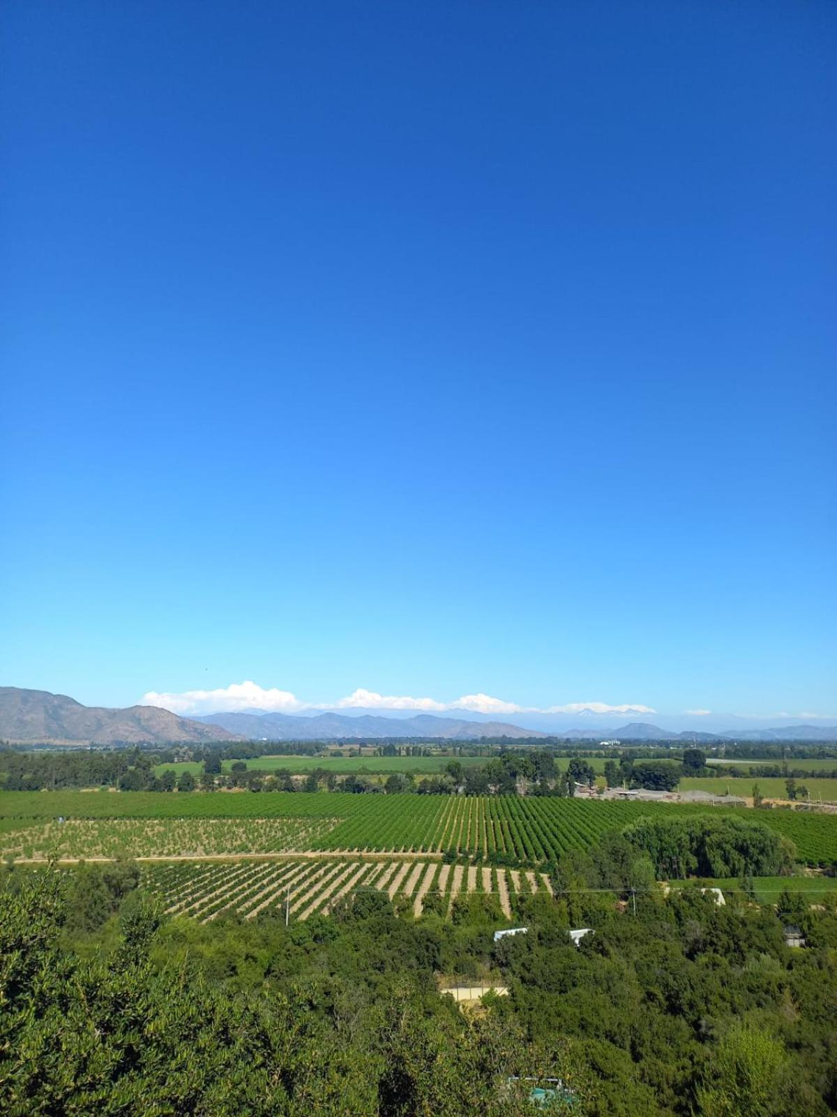 Colchagua D'Vino Hotell Santa Cruz Eksteriør bilde