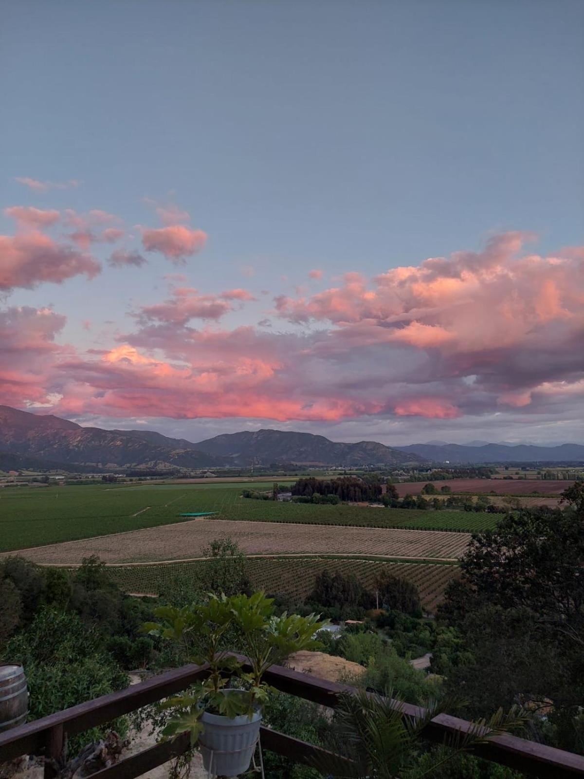 Colchagua D'Vino Hotell Santa Cruz Eksteriør bilde